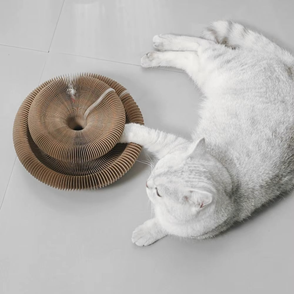 FoldiPaw™ - Interactive Cat Toy
