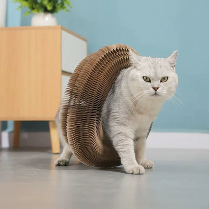 FoldiPaw™ - Interactive Cat Toy